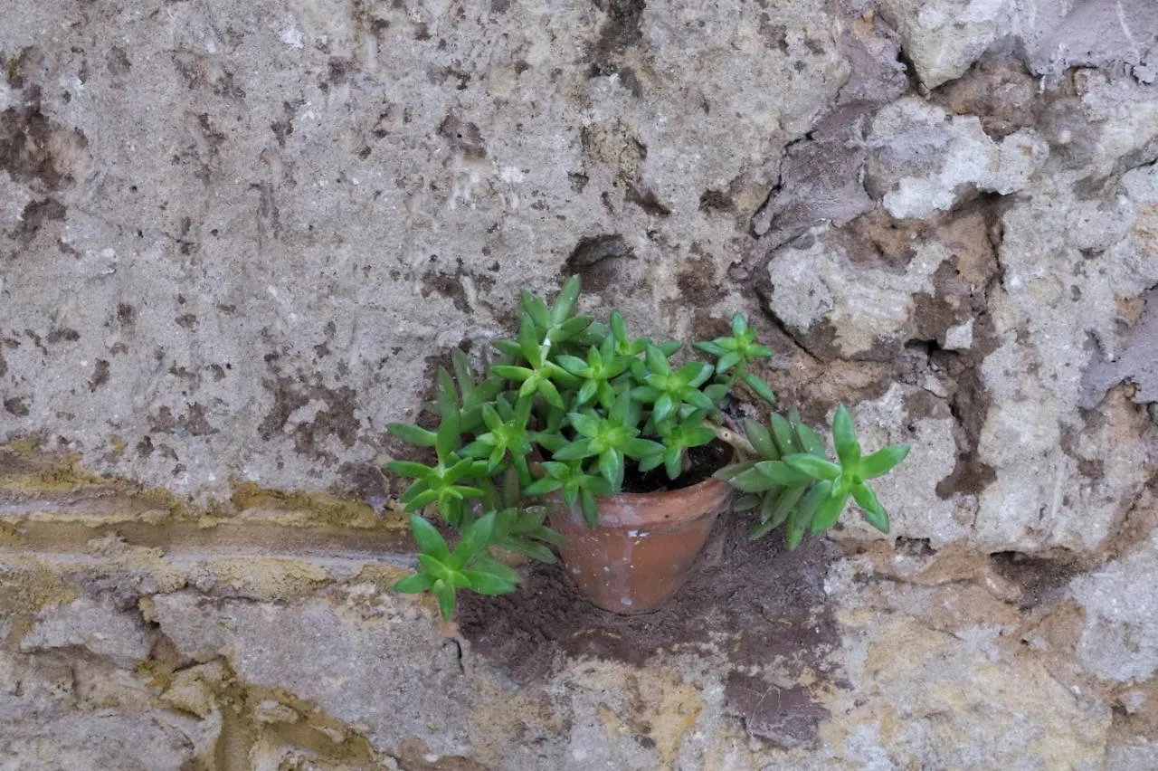 Appartamento Casa Villafilippina Palermo